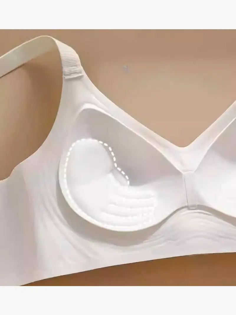 Texlina Women’s Seamless Contour Bra – SculptFlex™ Everyday Lift Series (12 PCs/Pack)
