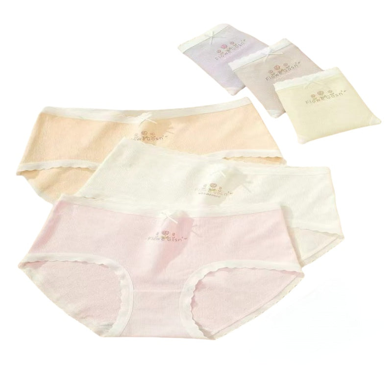 Texlina Women’s Cotton Ribbed Briefs with Embroidered Logo – Flower🌸 Collection( 12 PCS/Pack)