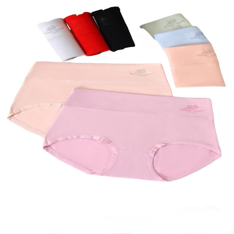Texlina Women’s Seamless Mid-Rise Briefs – Assorted Color Packs