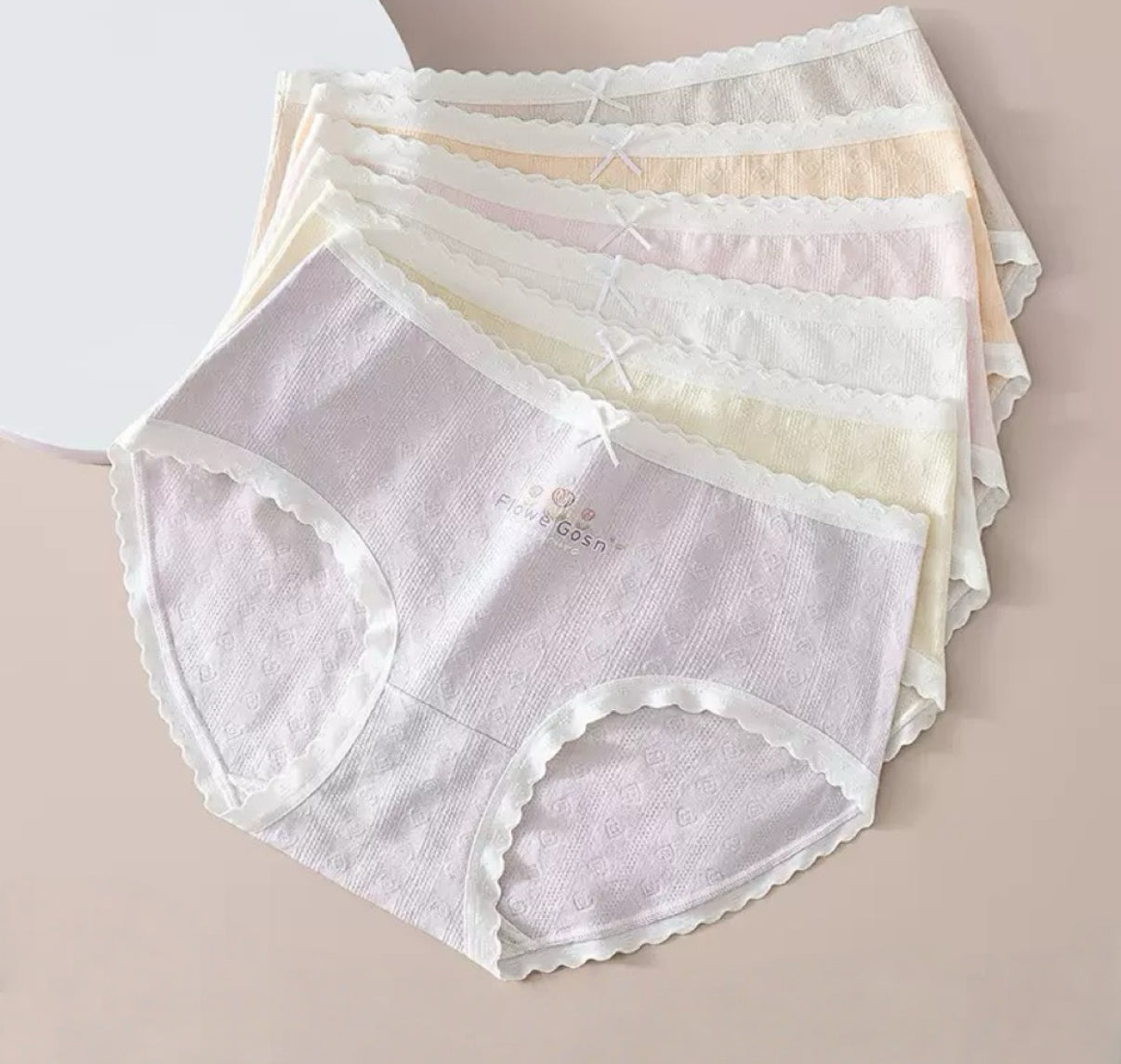 Texlina Women’s Cotton Ribbed Briefs with Embroidered Logo – Flower🌸 Collection( 12 PCS/Pack)