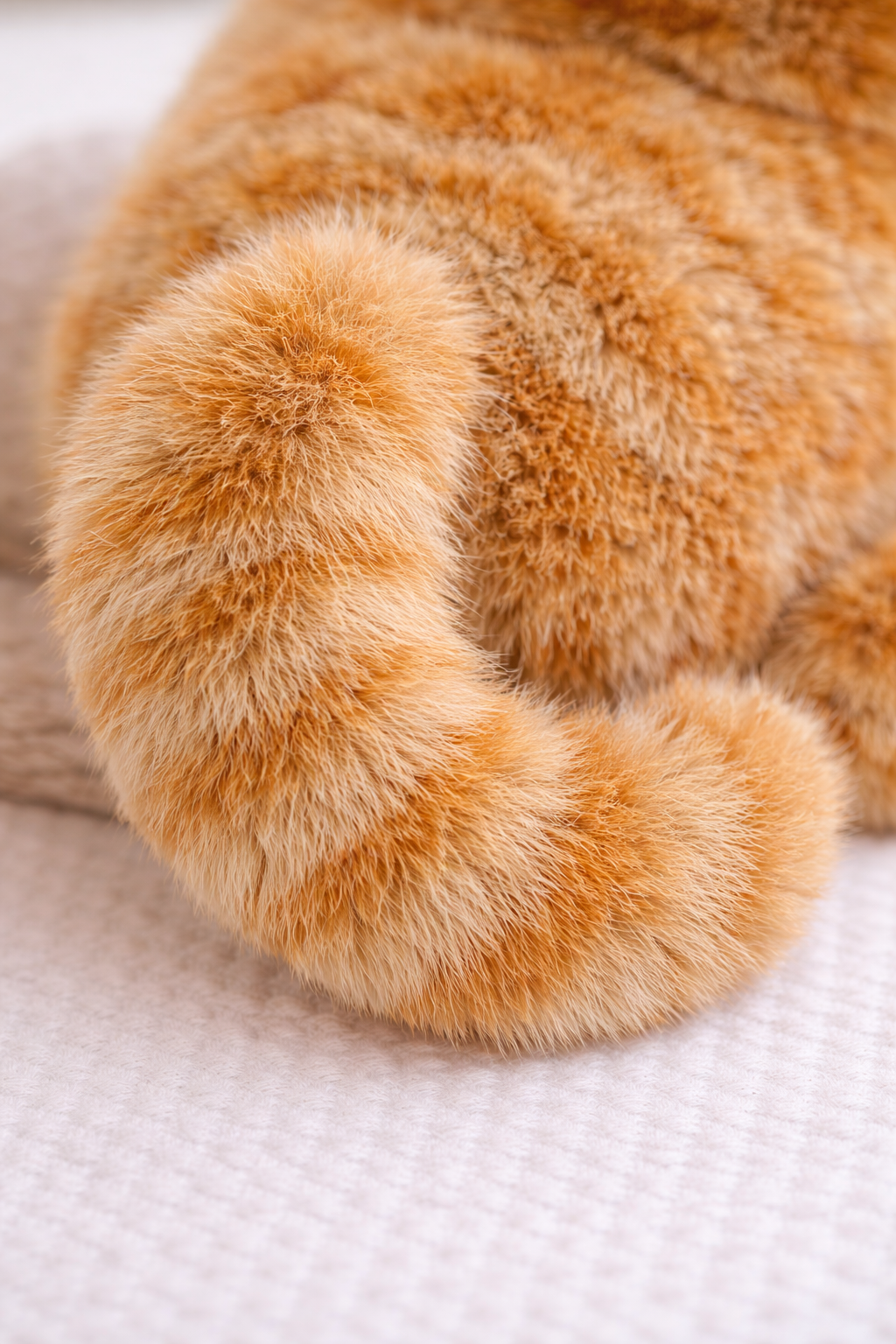 Furry Cat Stuffed Animal 25cm Orange Tabby Kitty
