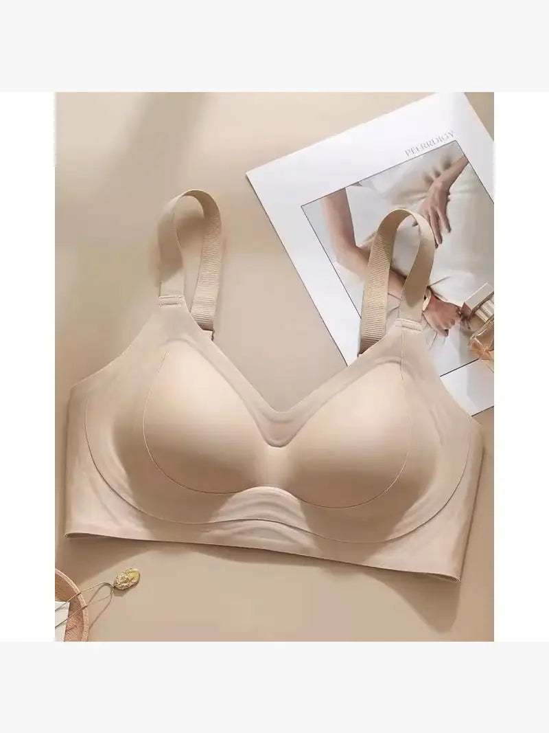 Texlina Women’s Seamless Contour Bra – SculptFlex™ Everyday Lift Series (12 PCs/Pack)