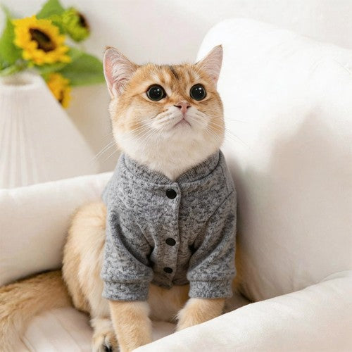 Custom Pet Hoodie, Soft Warm Dog Sweatshirt for Cats Puppy Small Medium Breed Pets